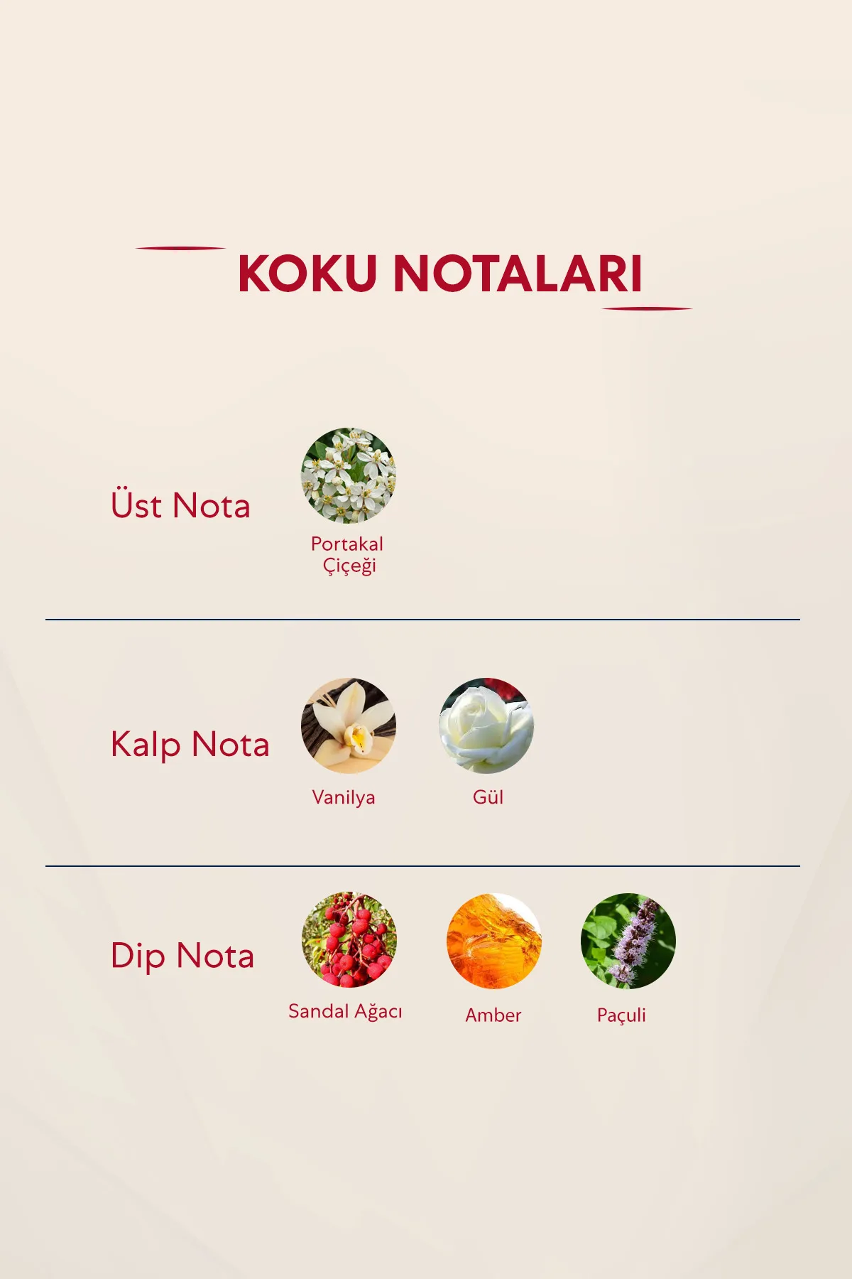 Bargello 122 Kadın 50 ml Parfüm Edp Orıental